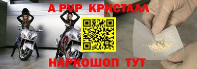 гашик Тара
