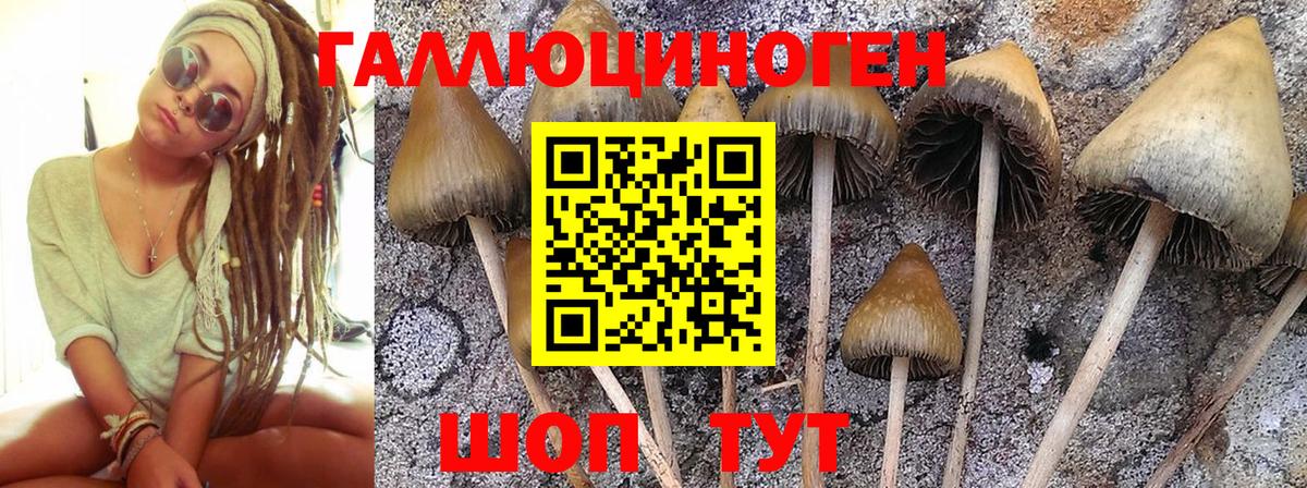 Галлюциногенные грибы ЛСД  Галлюциногенные грибы Magic Shrooms  Вход с VPN  Комсомольск-на-Амуре 